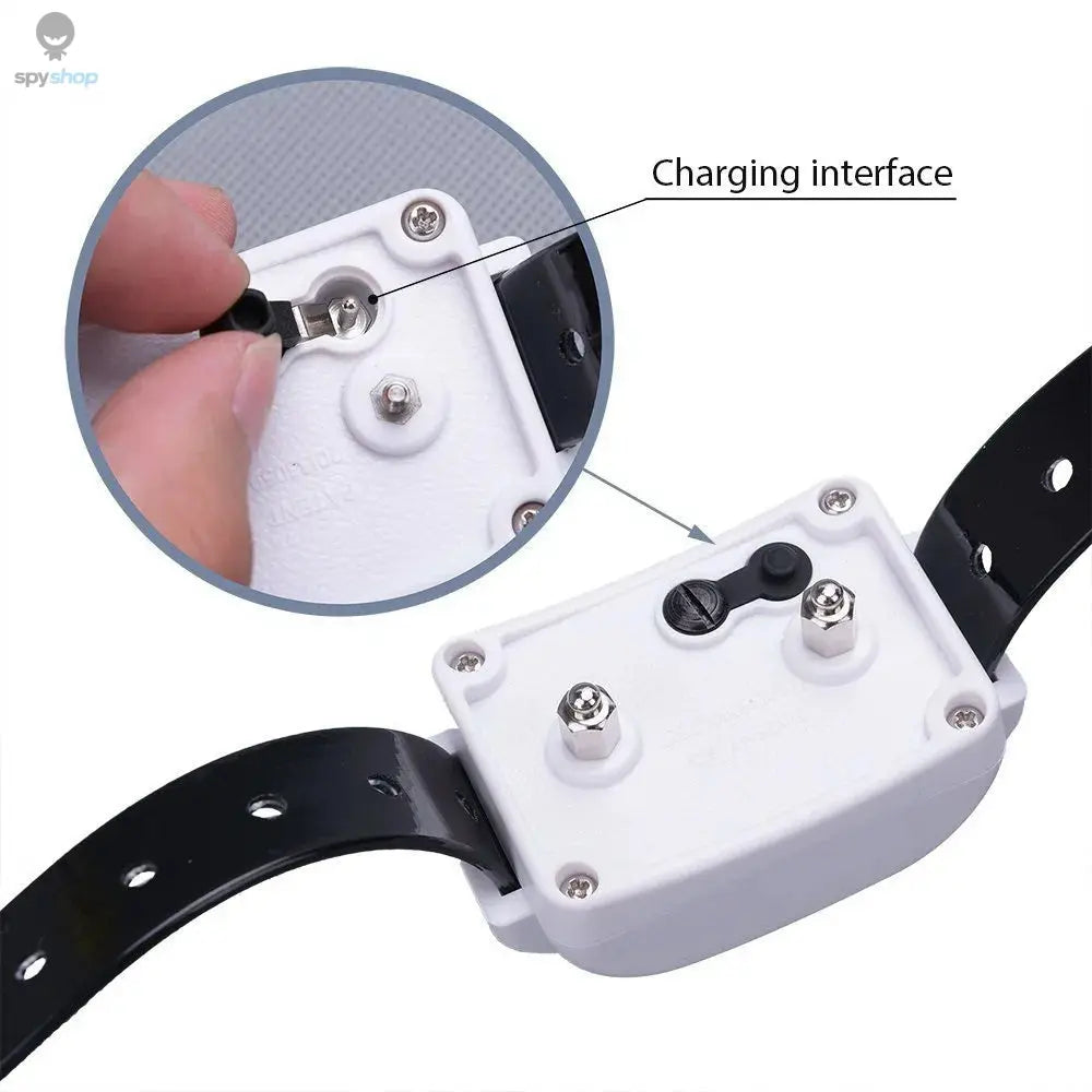 1/2/3 Wireless Electric Dog Pet Fence Shock Collar System Waterproof Transmitter 100g2280 Spy-shop.com