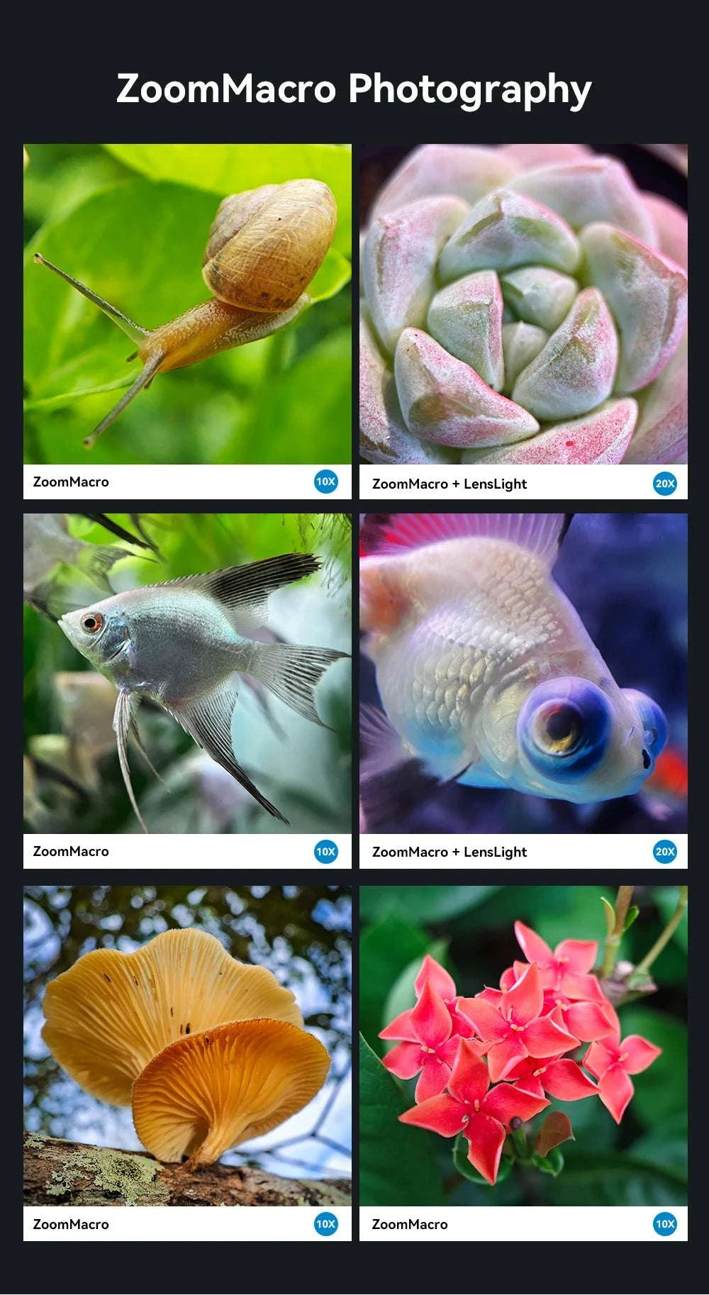 10–20X Macro Phone Lens with LED Light for iPhone & Android-macro with light