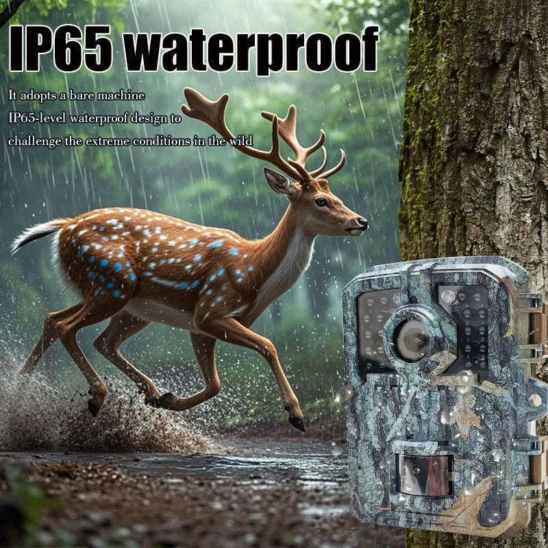 1080P Hunting Camera with Night Vision, 120° Detection, IP65-2PCS DL003 None card / China Mainland