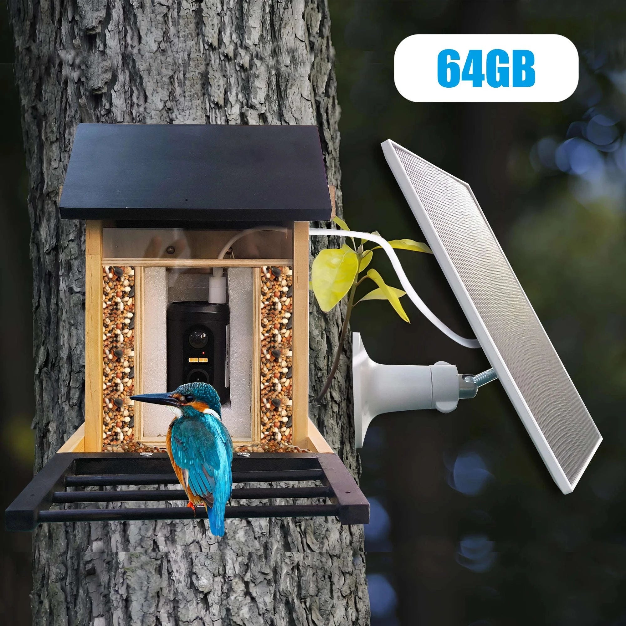 1080P Solar Bird Feeder Camera with Night Vision-Feeder Cam / China Mainland