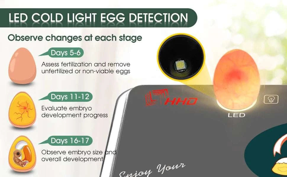 12 Egg Incubator with Auto Turning, Temperature Control & Candler-black / United States