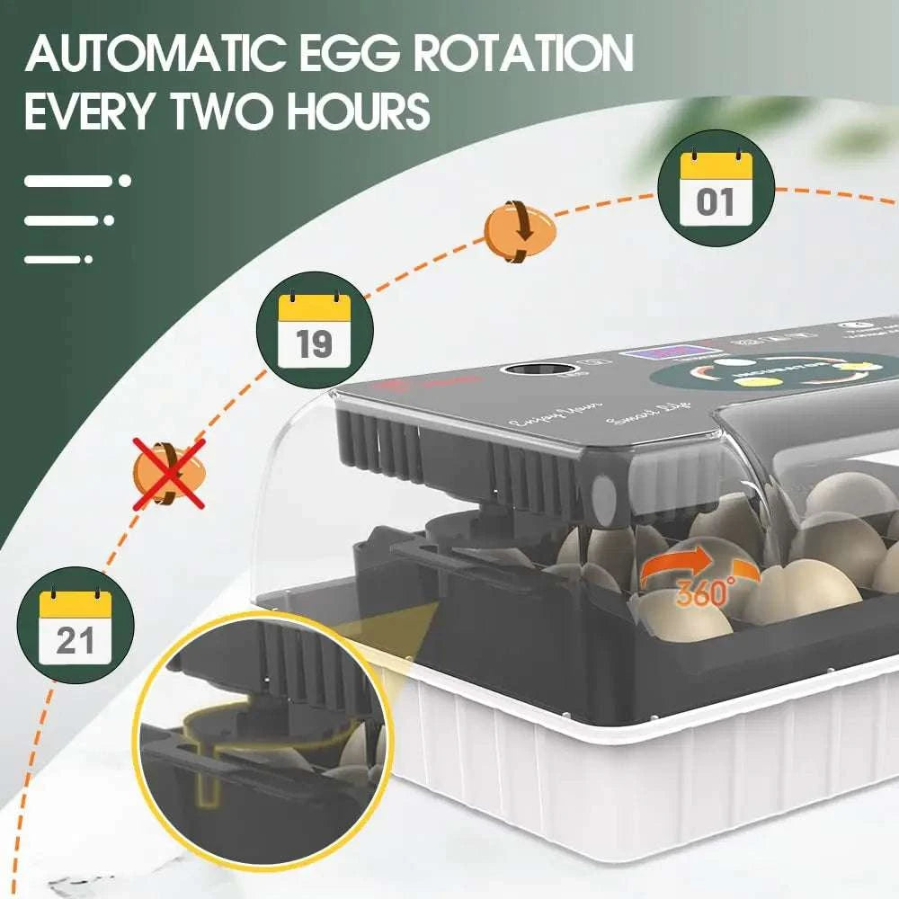 12 Egg Incubator with Auto Turning, Temperature Control & Candler-black / United States