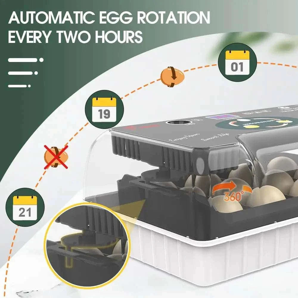 12 Egg Incubator with Auto Turning, Temperature Control & Candler-black / United States