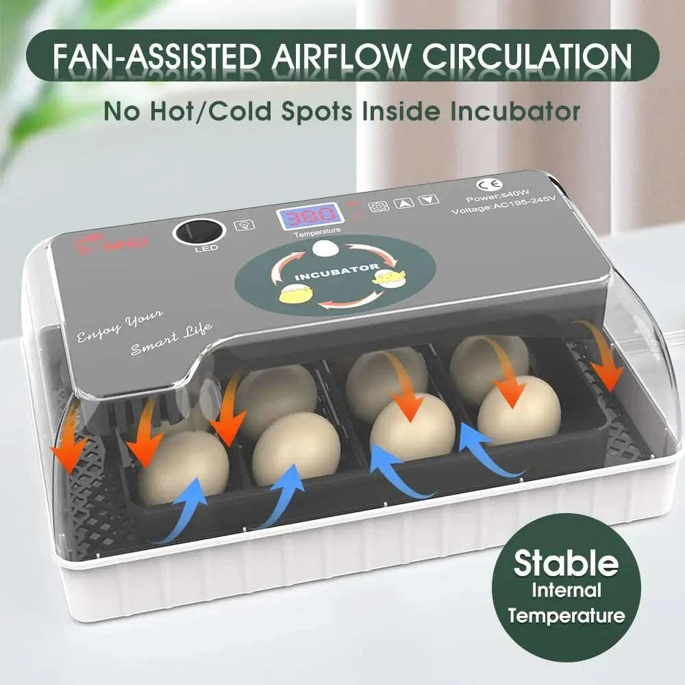 12 Egg Incubator with Auto Turning, Temperature Control & Candler-black / United States