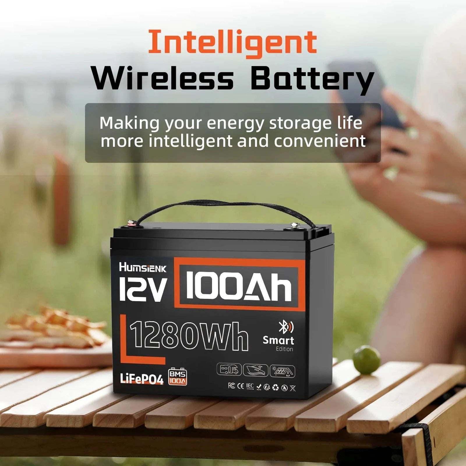 12V 100Ah LiFePO4 Battery 1280Wh with Bluetooth & 100A BMS-12V 100AH MAX BT / United States