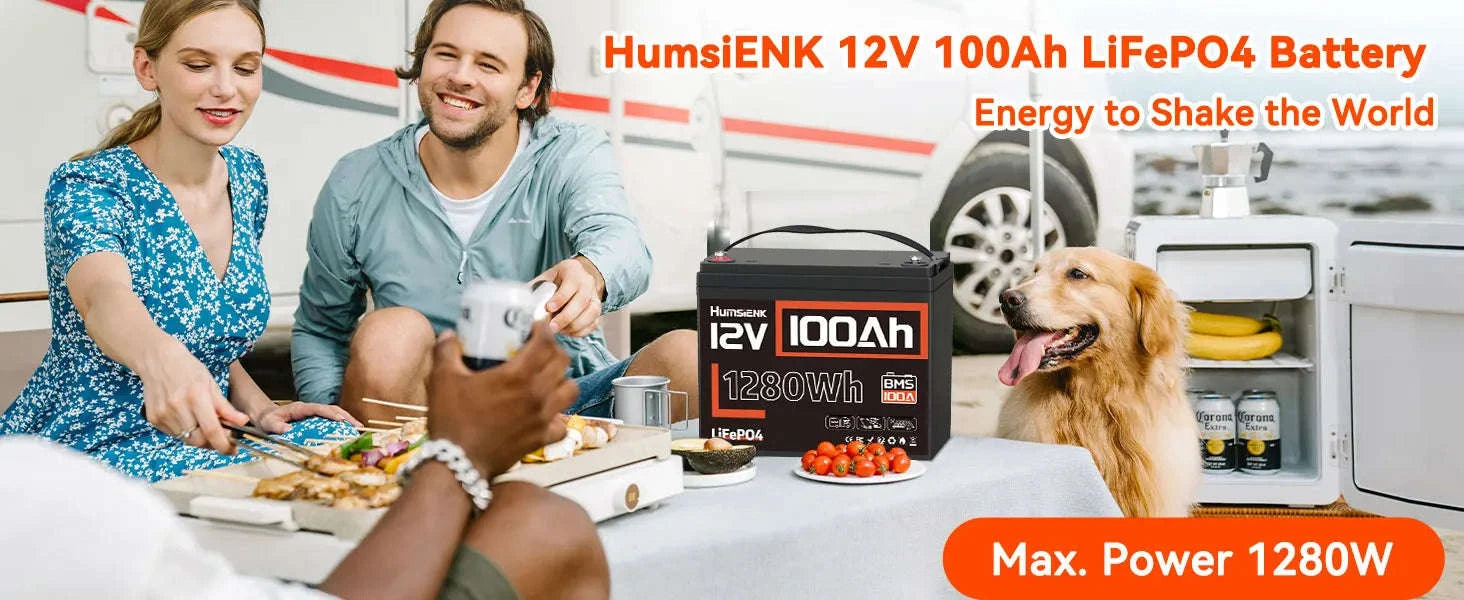 12V 100Ah LiFePO4 Battery with 100A BMS and Low-Temp Protection-12V 100AH / Poland