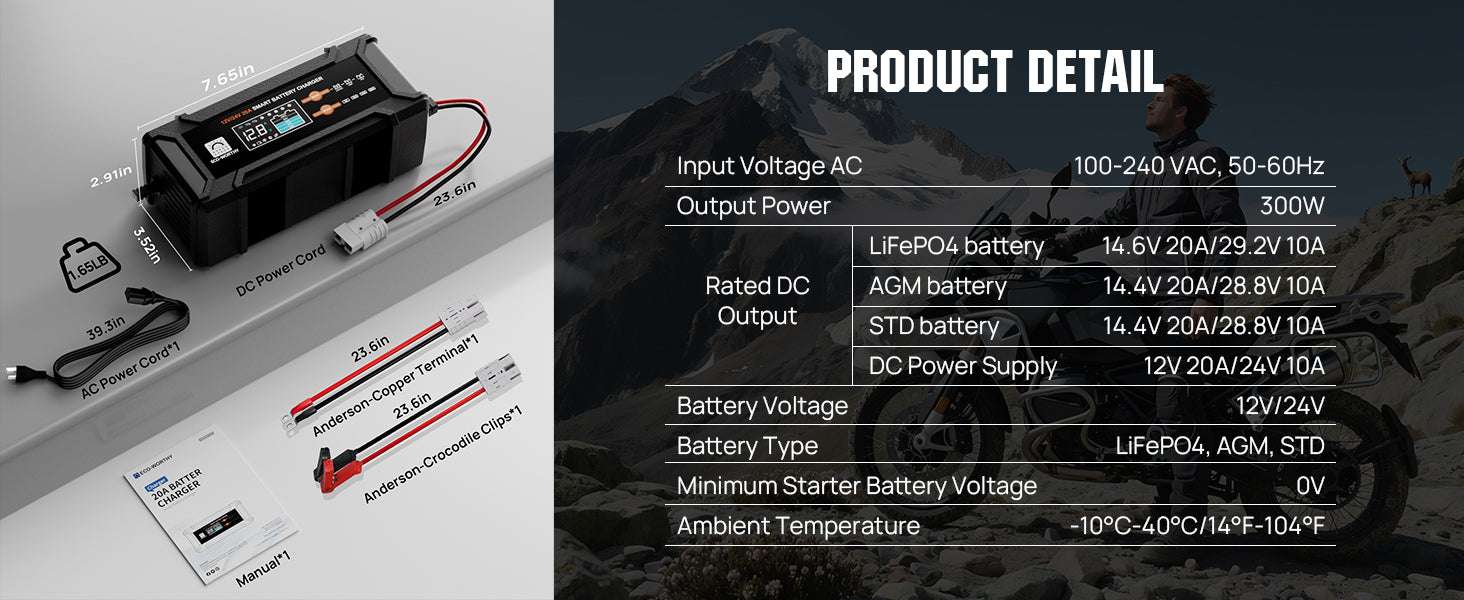 12V/24V Smart Battery Charger 20A with Auto Detection & Modes-black / United States