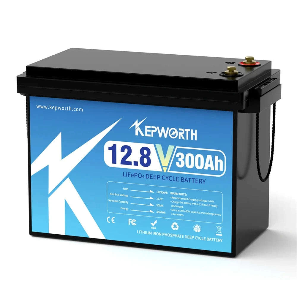 12V LiFePO4 Deep Cycle Battery 180Ah 300Ah with BMS-180AH / United States