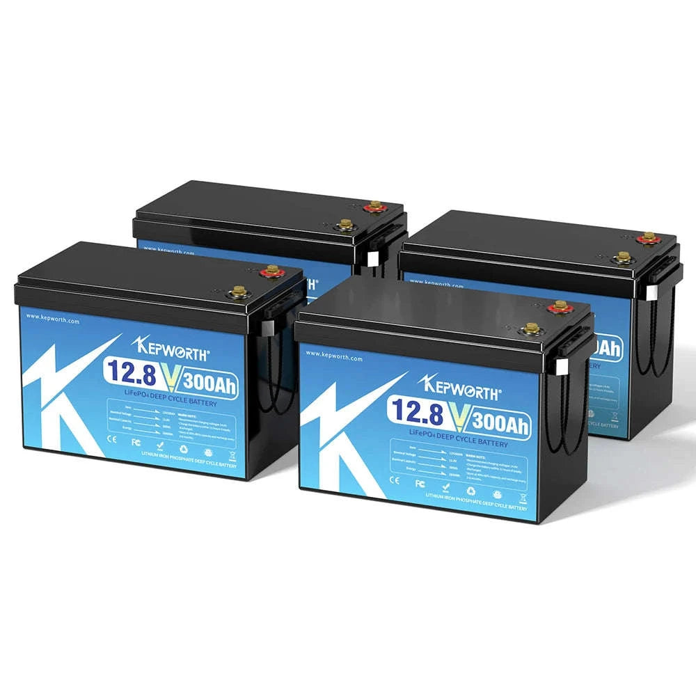 12V LiFePO4 Deep Cycle Battery 180Ah 300Ah with BMS-180AH / United States