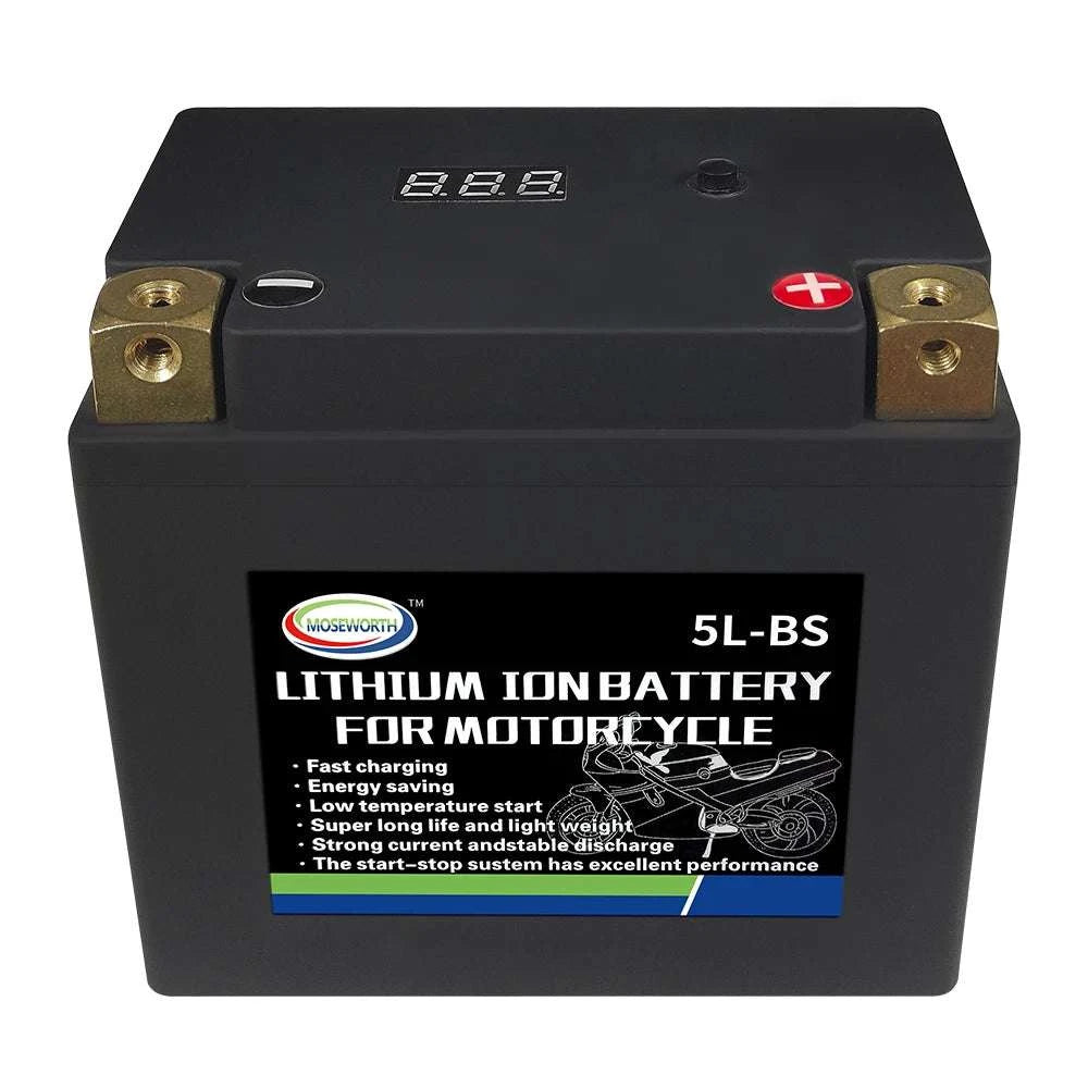 12V LiFePO4 Motorcycle Battery 4L-BS 160CCA with BMS-7A-BS N-P andcharger / GERMANY