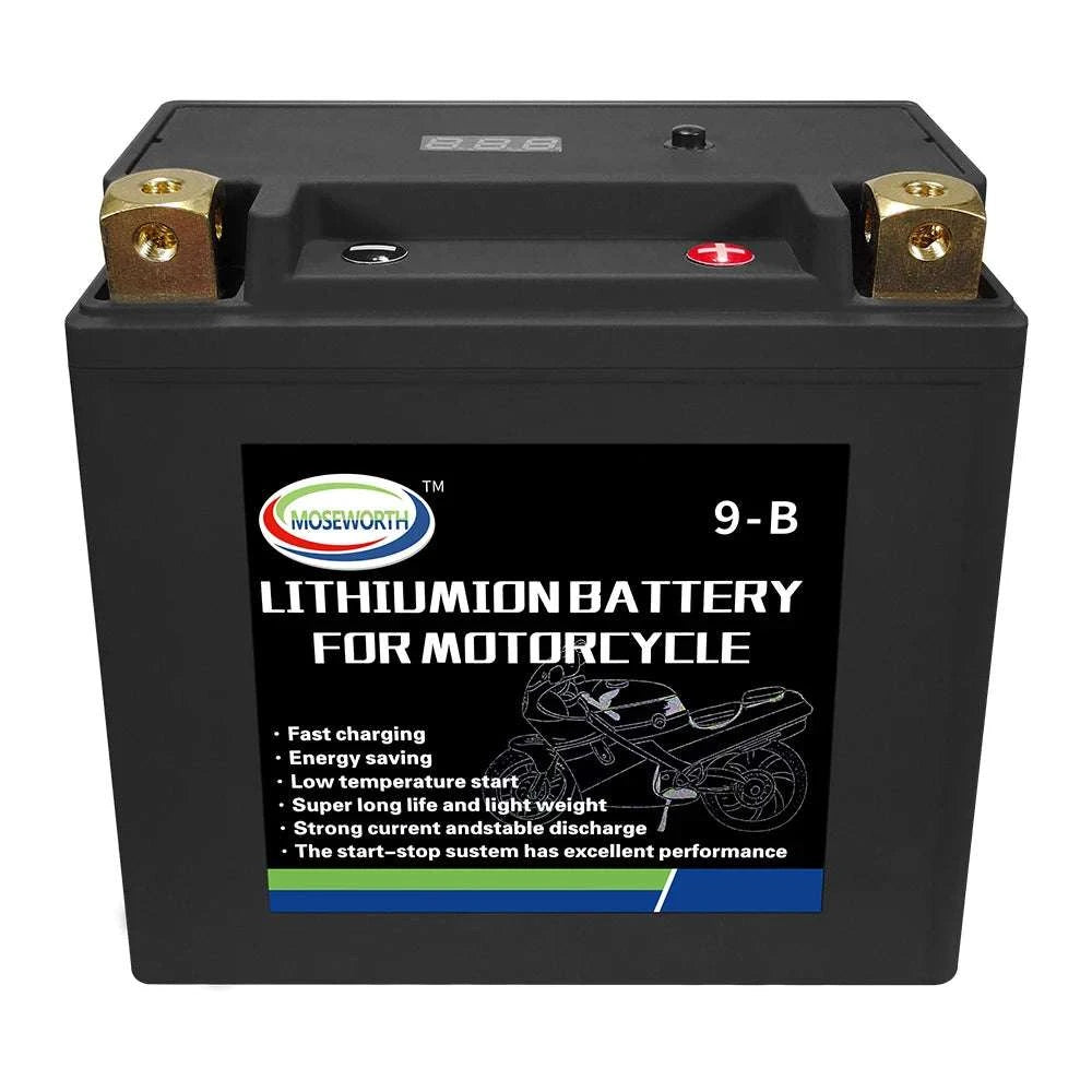 12V LiFePO4 Motorcycle Battery 4L-BS 160CCA with BMS-7A-BS N-P andcharger / GERMANY
