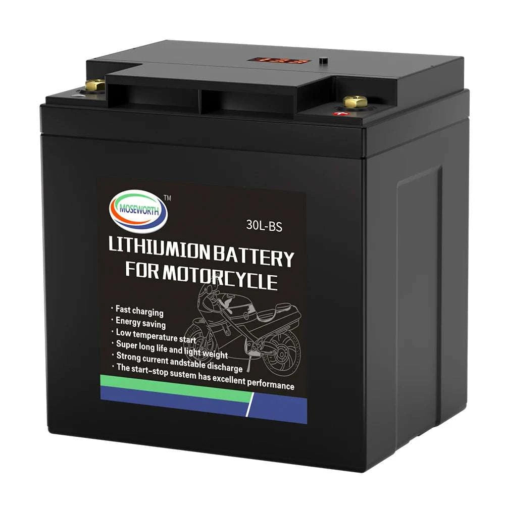 12V LiFePO4 Motorcycle Battery 4L-BS 160CCA with BMS-7A-BS N-P andcharger / GERMANY