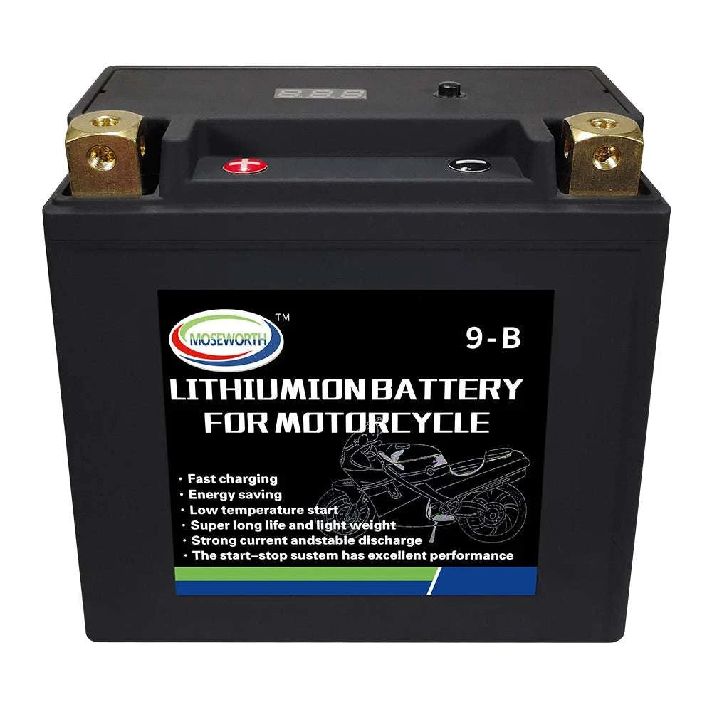 12V LiFePO4 Motorcycle Battery 4L-BS 160CCA with BMS-7A-BS N-P andcharger / GERMANY