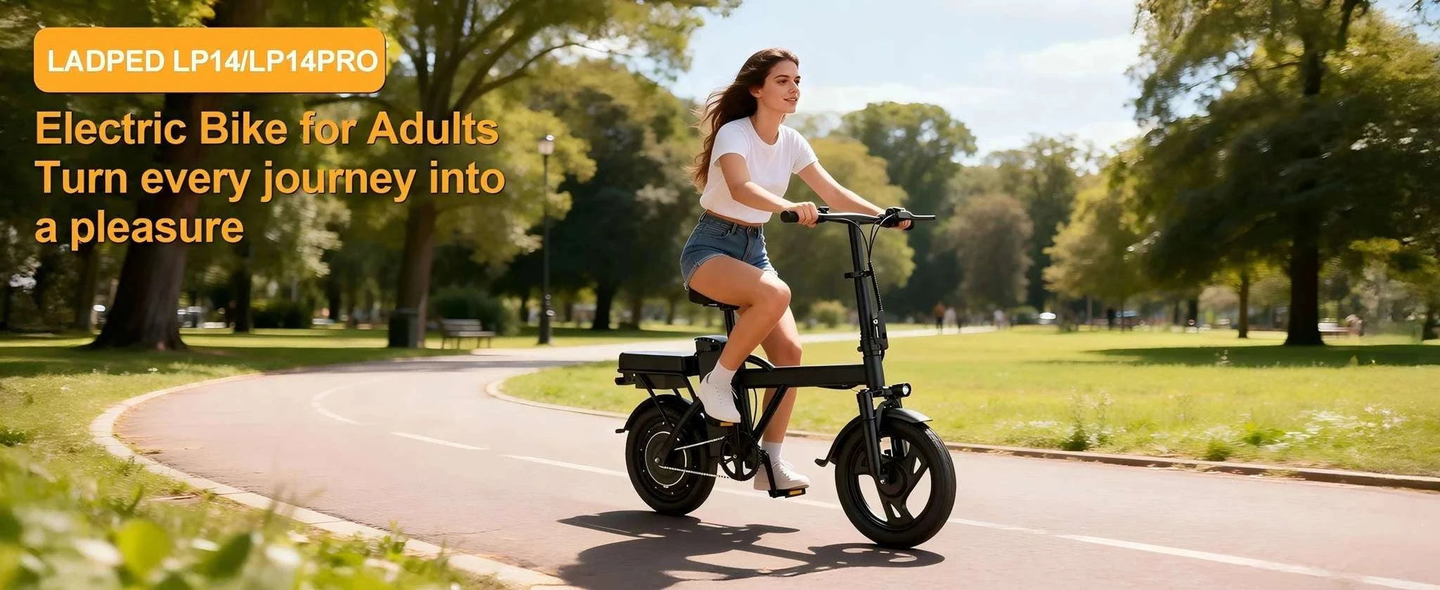 14'' Foldable Electric Bike 500W 48V 22MPH Dual Seat Mini E-Bike-5.2Ah 30miles / United States