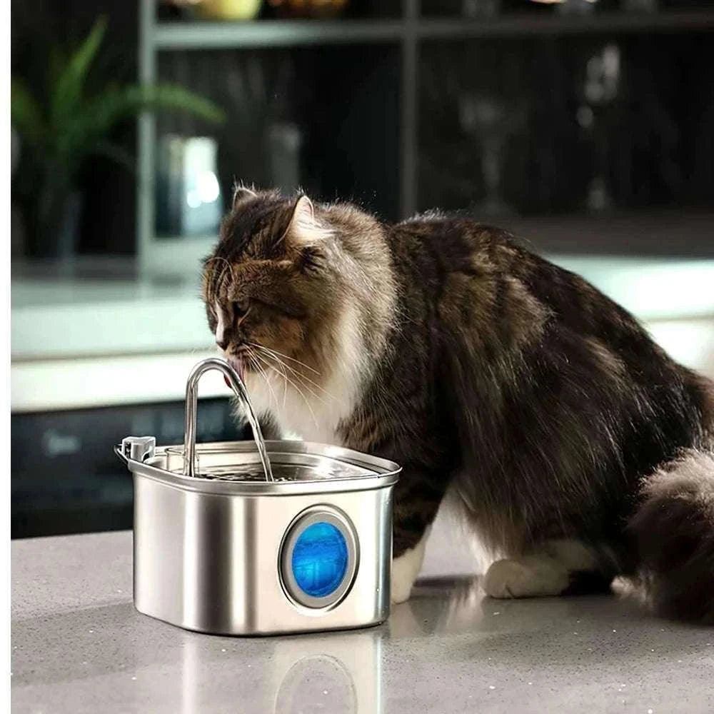 2.2L Stainless Steel Automatic Cat Water Fountain-2.2L-4Filters-Sensor / L / 2L