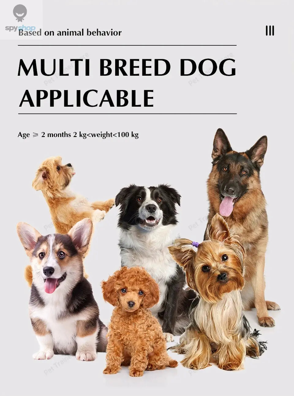 2 In 1 Electric Pet Wireless Fence Dog Training Collar Anti Runaway Up to 3 Dogs Outdoor Pet Containment Rechargeable System Spy-shop.com