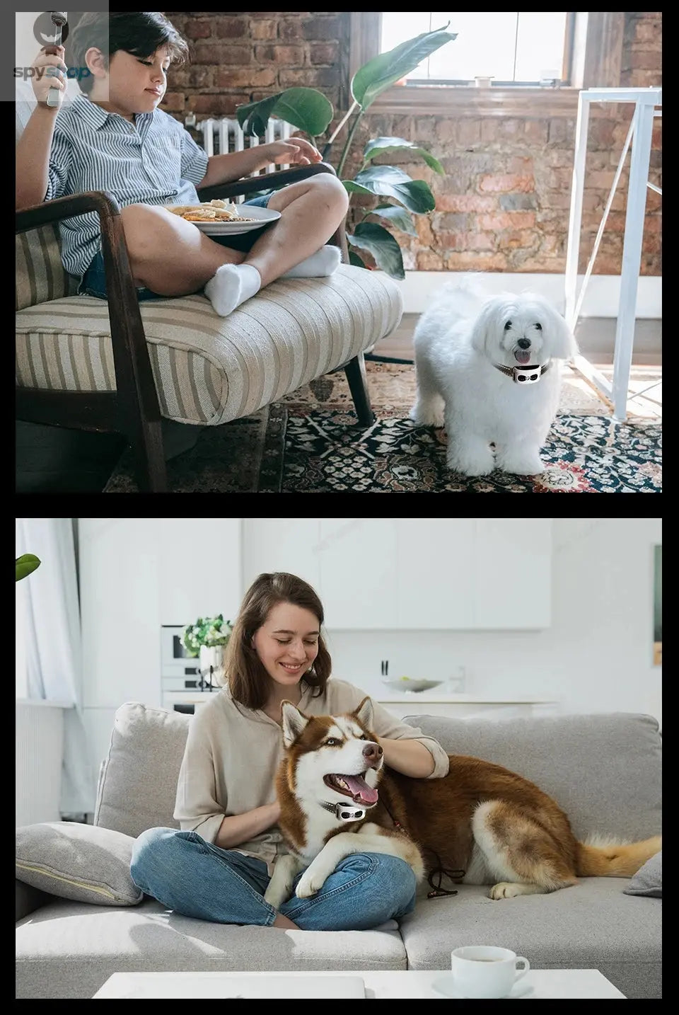 2 In 1 Electric Pet Wireless Fence Dog Training Collar Anti Runaway Up to 3 Dogs Outdoor Pet Containment Rechargeable System Spy-shop.com