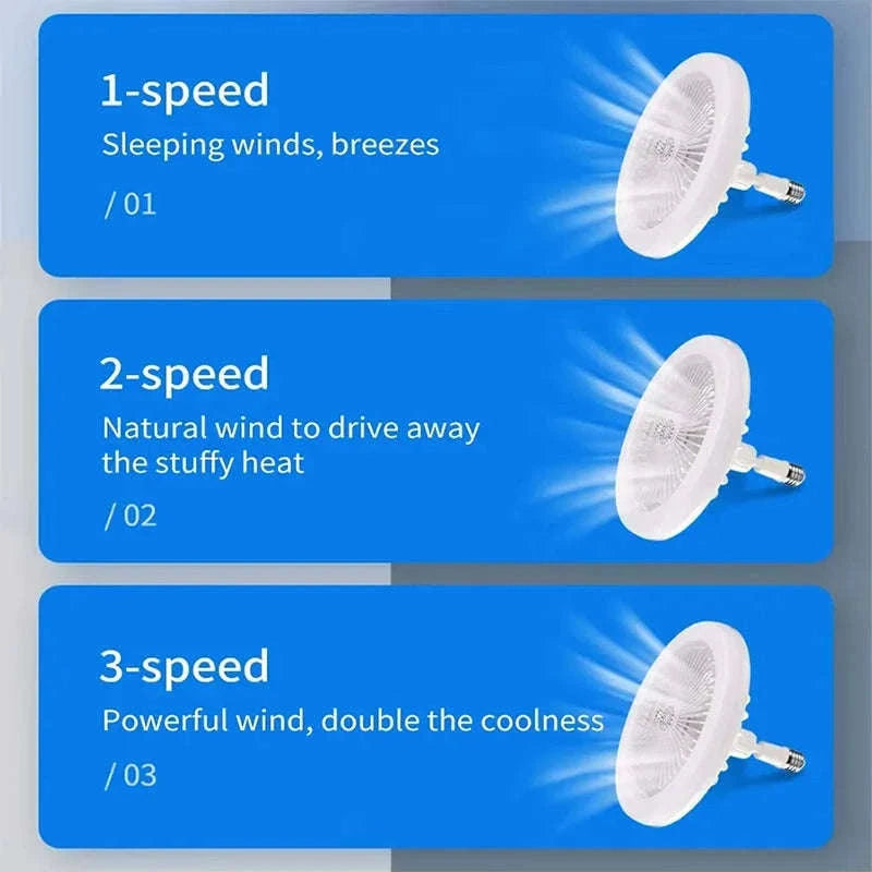 2-in-1 Ceiling Fan Lamp with Dimmable LED and Remote-L0693-19CM-F