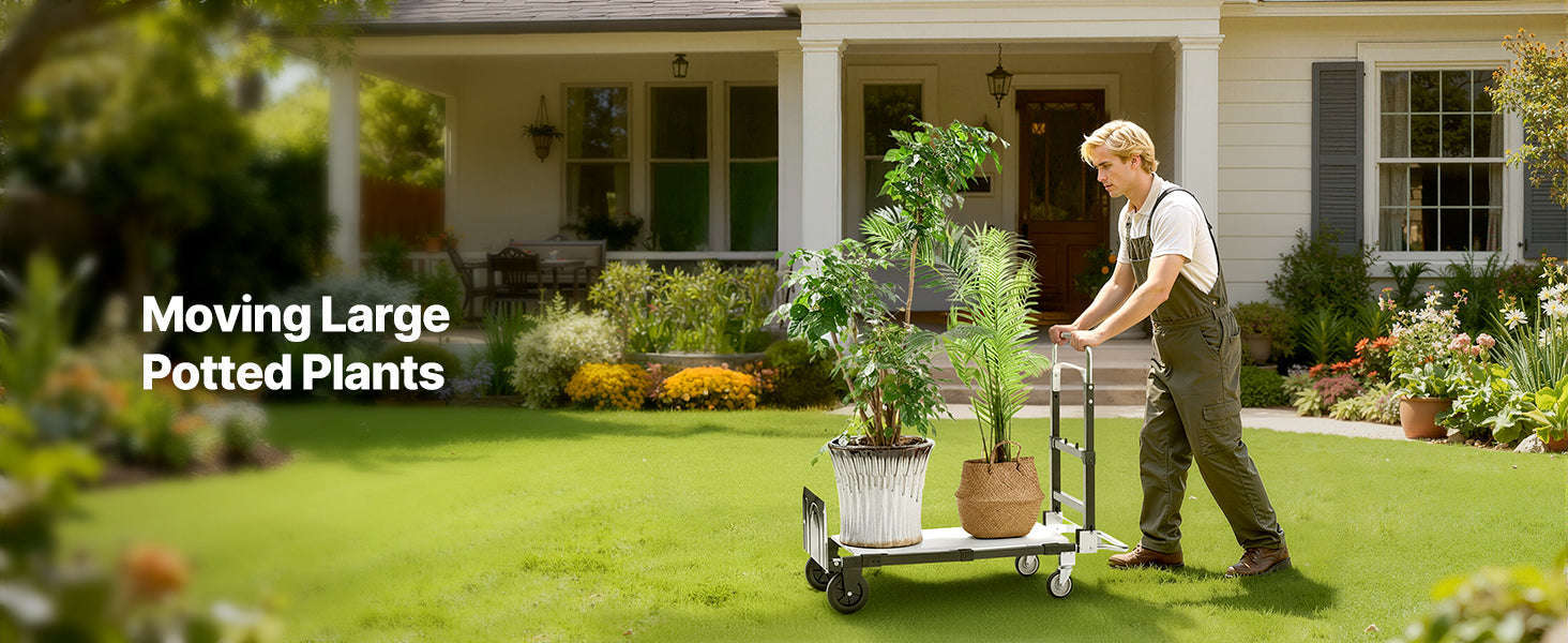 2-in-1 Folding Hand Truck 500 lb Capacity-500lbs / Canada