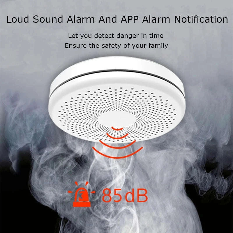2‑in‑1 WiFi Tuya Smart CO & Smoke Detector Alarm-CS01W WiFi Function