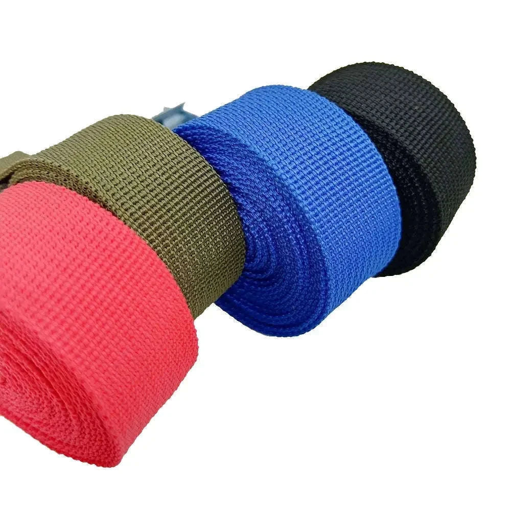 2-Pack 4M Zinc Alloy Cargo Straps with Pressure Buckles-Blue