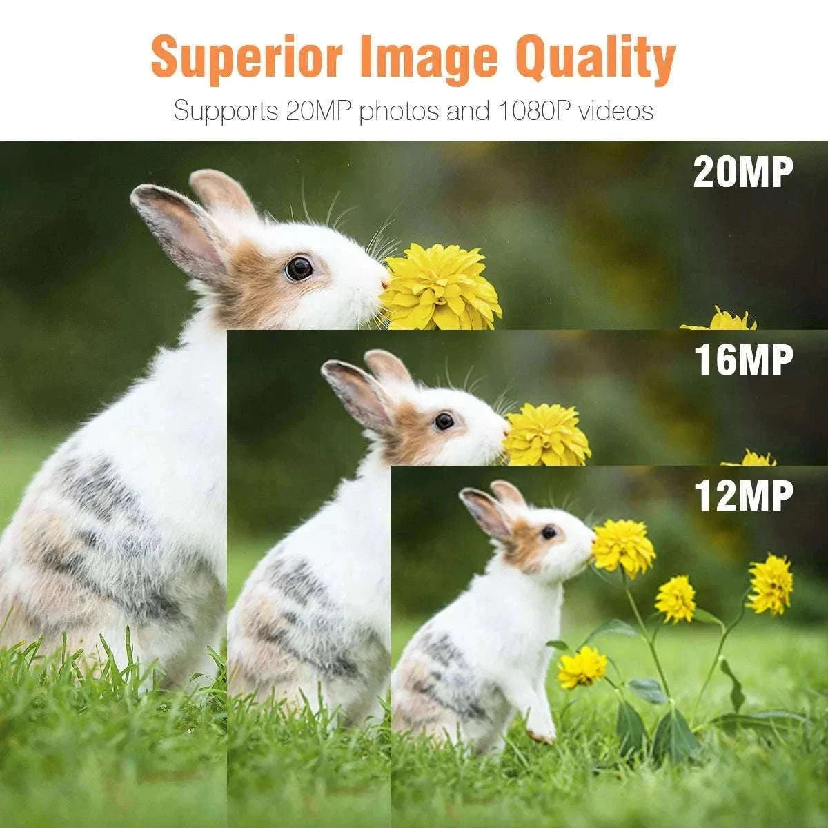 2-Pack Mini Hunting Camera with Night Vision-Default Title