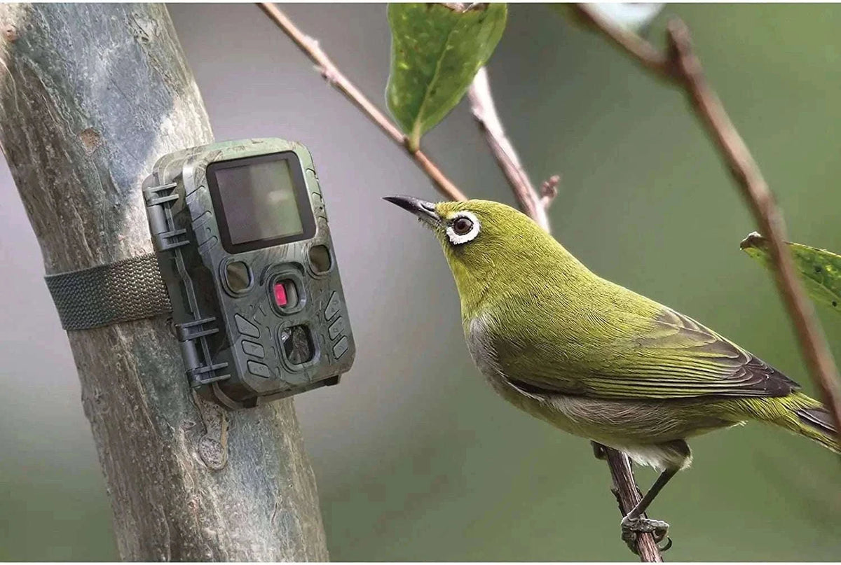 2-Pack Mini Hunting Camera with Night Vision-Default Title