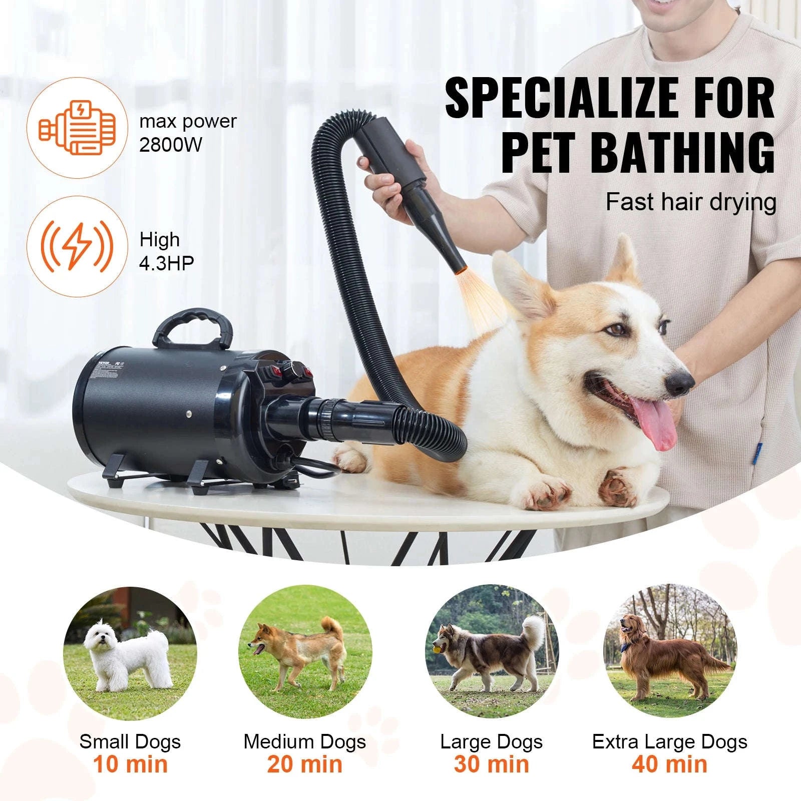 2000W/2.7HP Dog Blow Dryer with Adjustable Speed-Gray / CZECH REPUBLIC