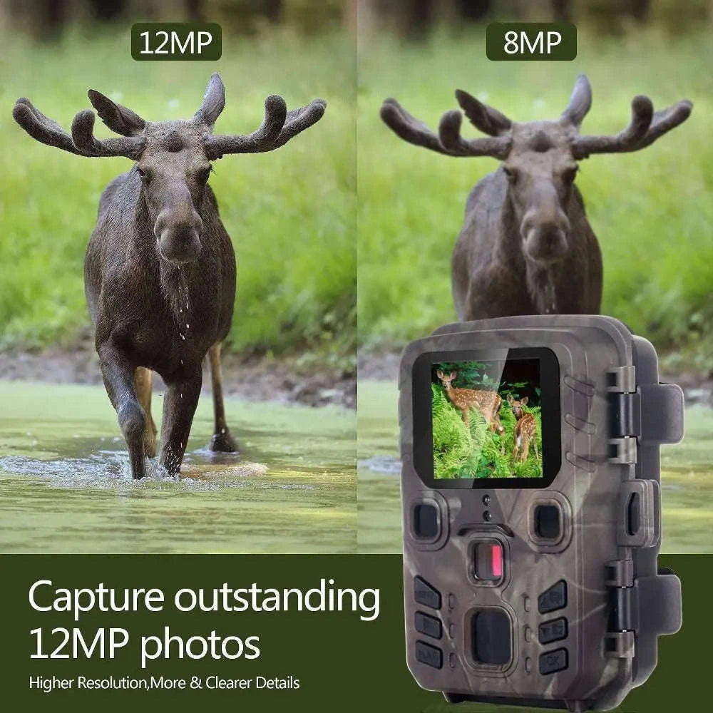 20MP 1080P Trail Camera with Night Vision and IP65 Water Resistance-Default Title