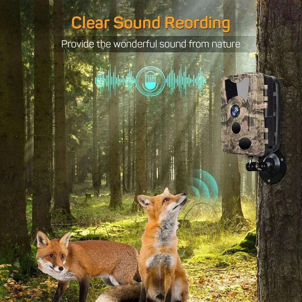 20MP 1080P Trail Camera with Night Vision and IP66 Waterproof-Default Title