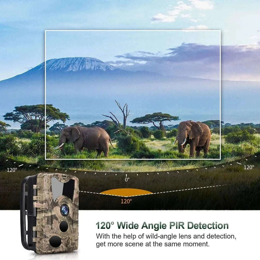 20MP 1080P Trail Camera with Night Vision and IP66 Waterproof-Default Title