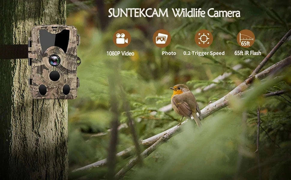 20MP 1080P Trail Camera with Night Vision and IP66 Waterproof-Default Title