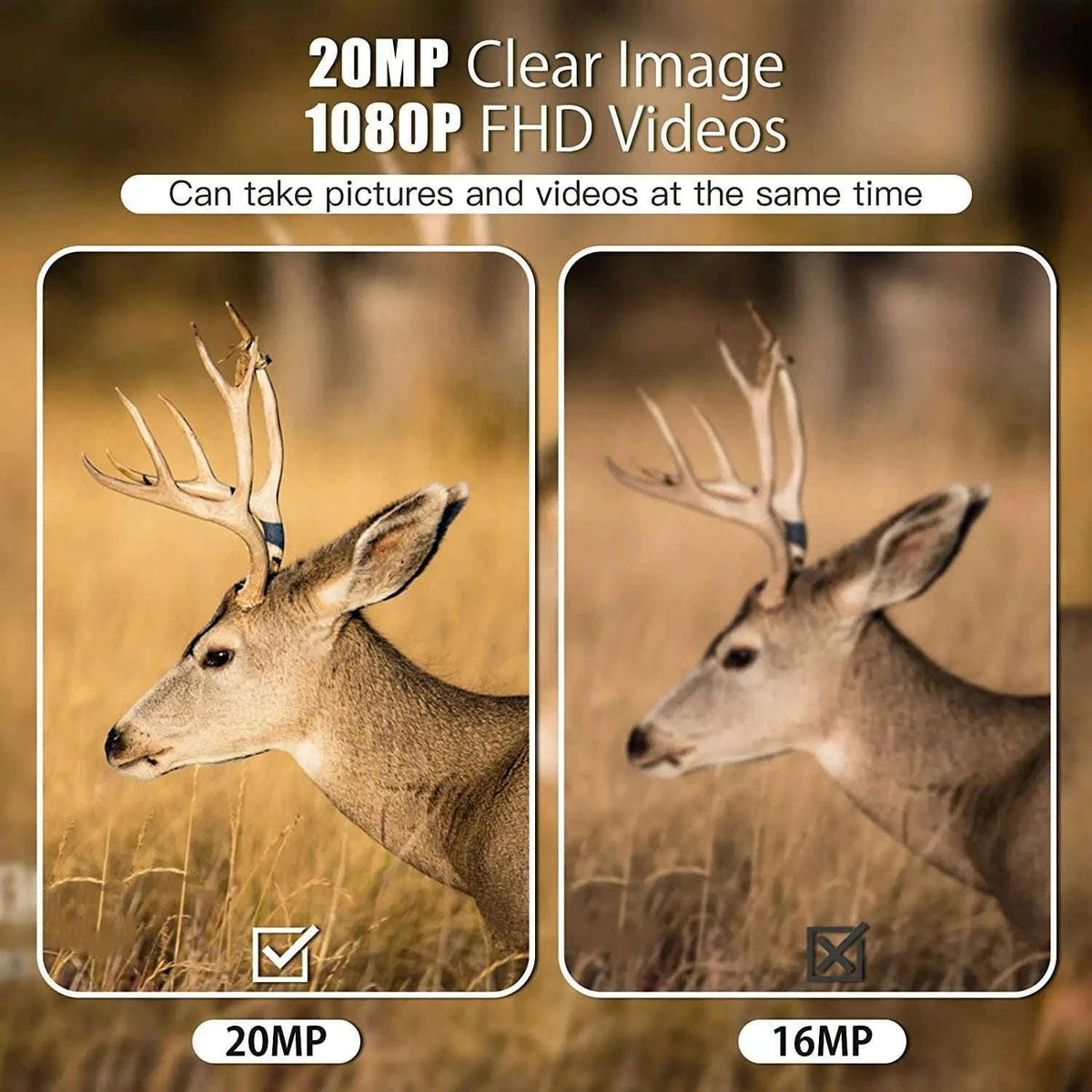 20MP Mini Trail Camera with Night Vision and Fast Motion Detection-2PCS Mini600