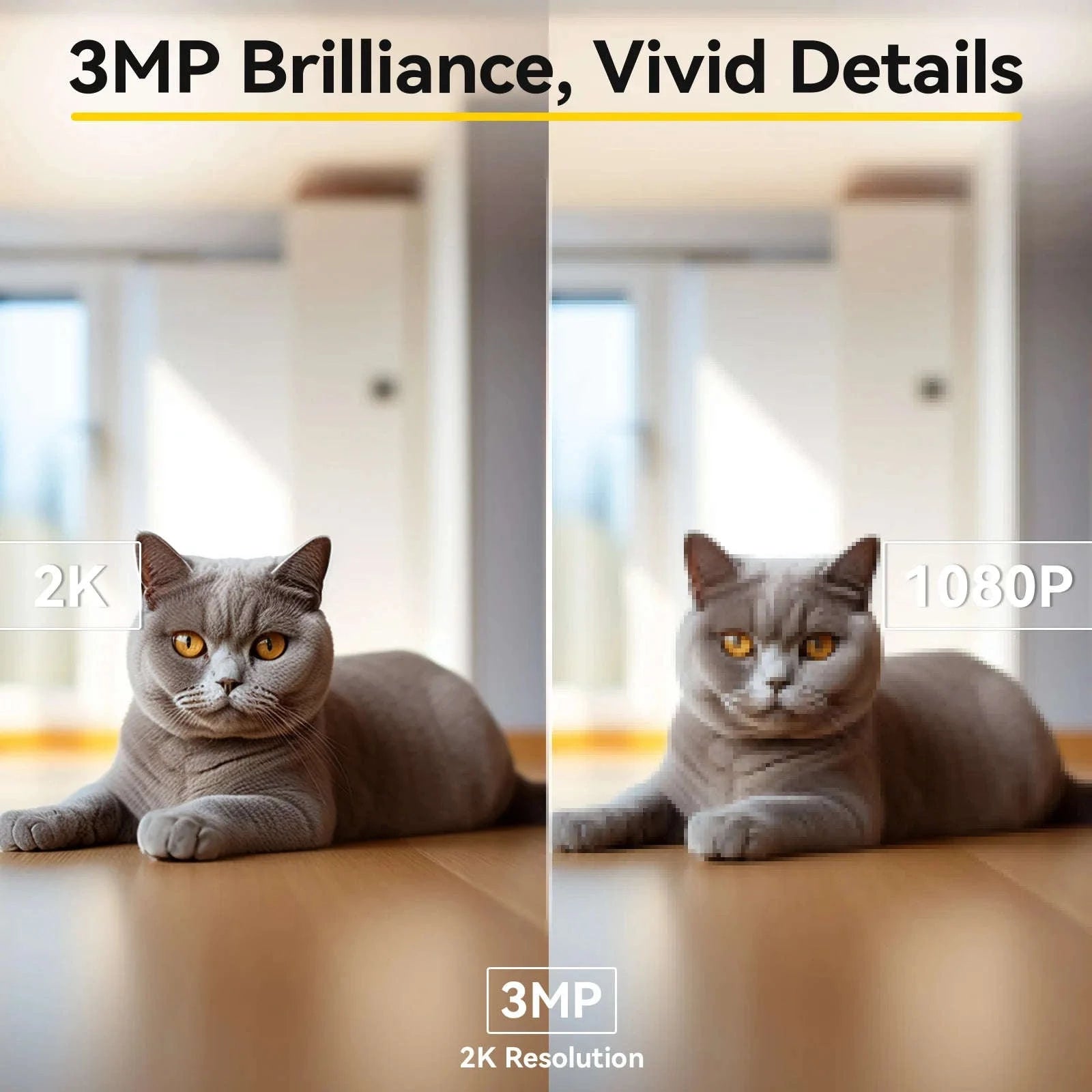 2K Pet Camera with App, Dual-Band WiFi, 360° Pan & Tilt, 2-Way Audio, Night Vision-USB