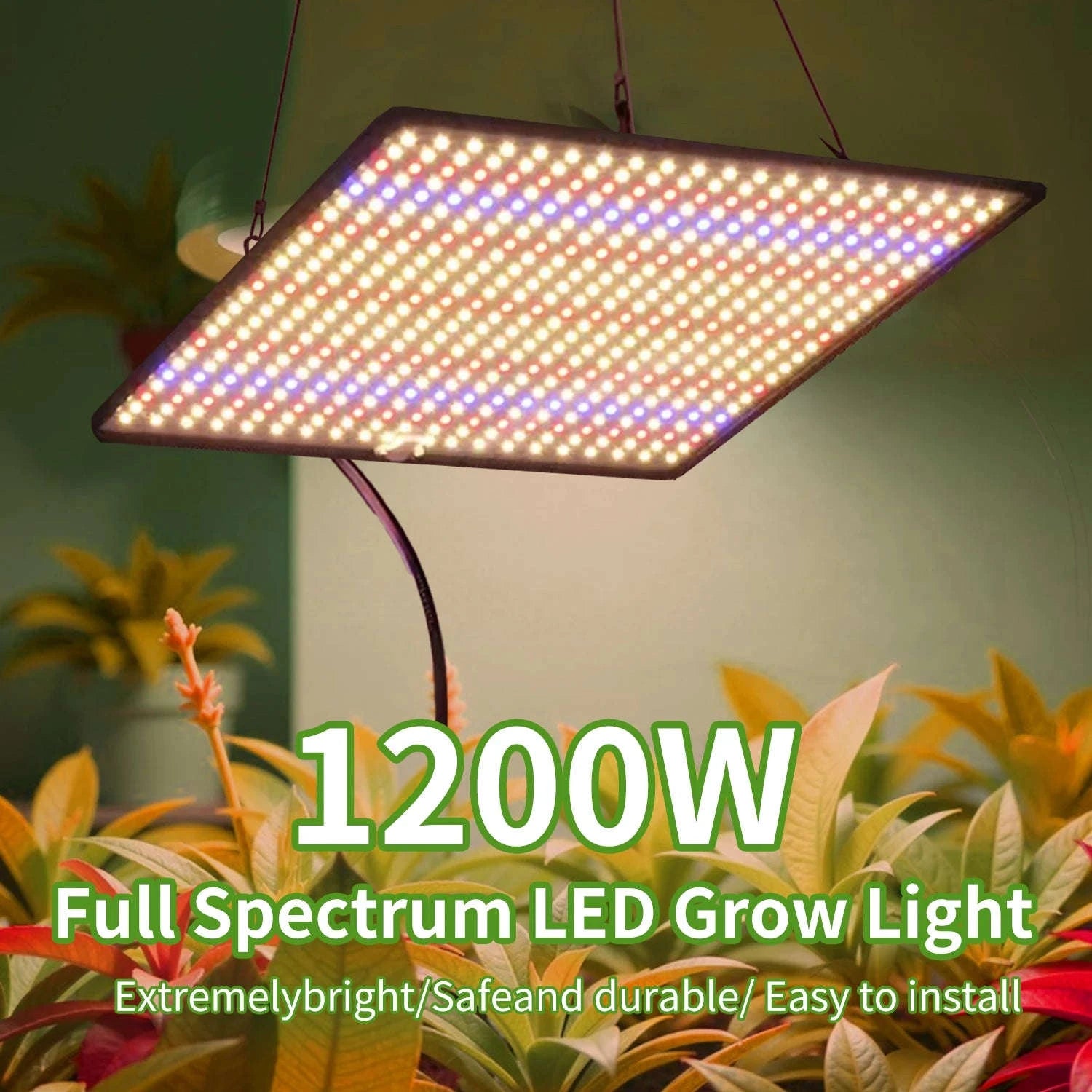 2PCS Full Spectrum LED Grow Lights 1200W Quantum Boards 1x1ft-2pcs / EU / 1200W|france