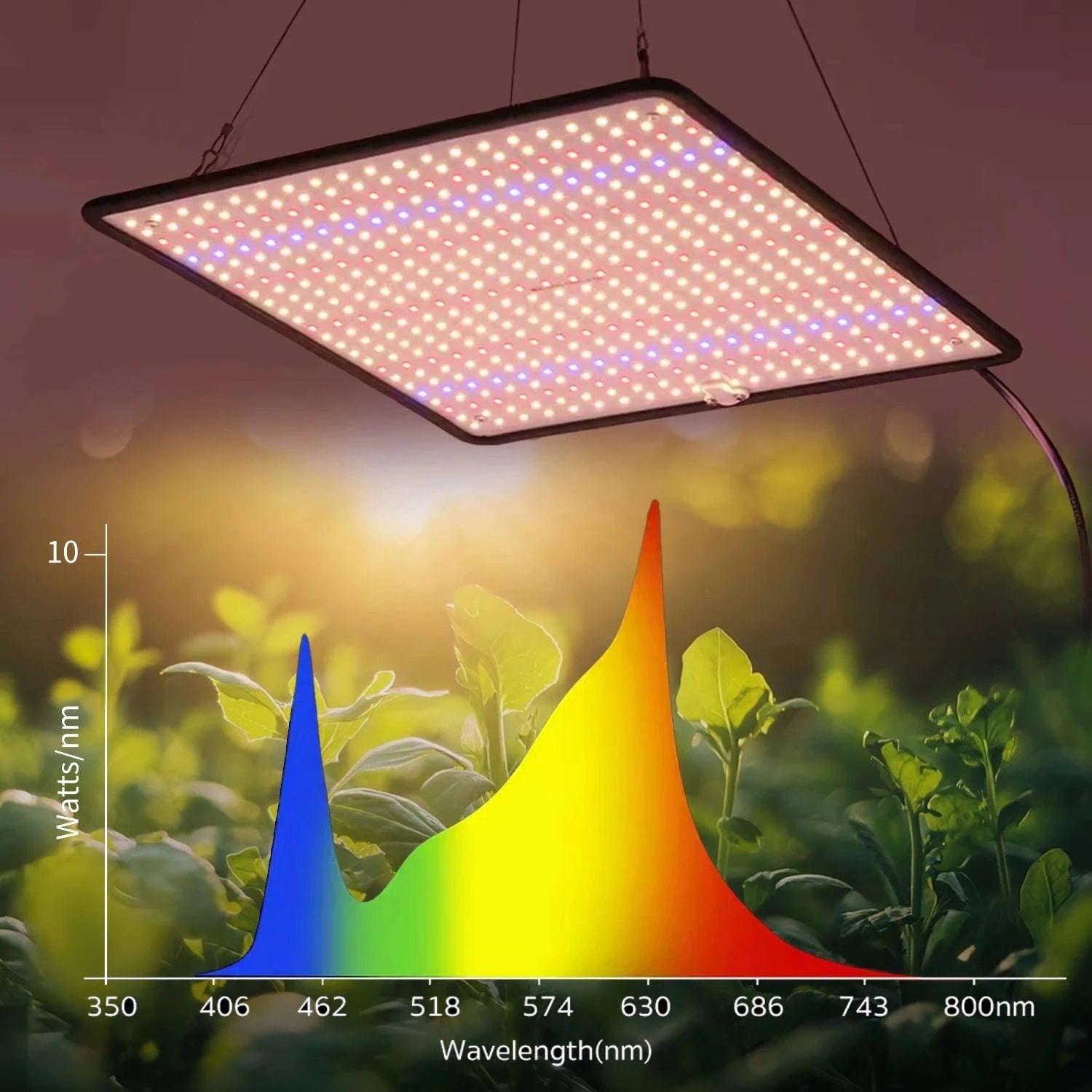 2PCS Full Spectrum LED Grow Lights 1200W Quantum Boards 1x1ft-2pcs / EU / 1200W|france