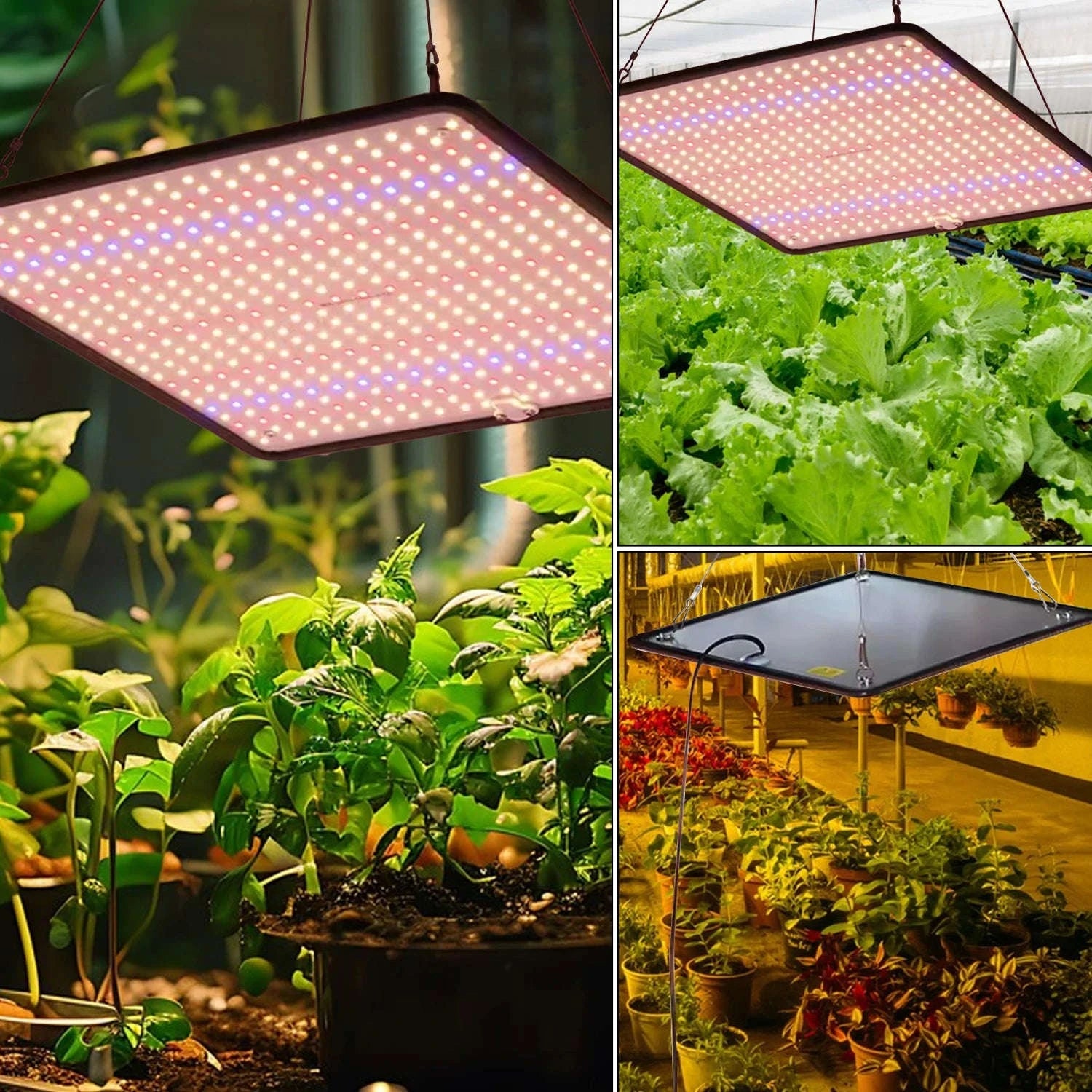 2PCS Full Spectrum LED Grow Lights 1200W Quantum Boards 1x1ft-2pcs / EU / 1200W|france