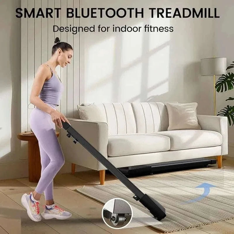 300 lbs 2.5 HP 2-in-1 Portable Treadmill for Home-black / GERMANY