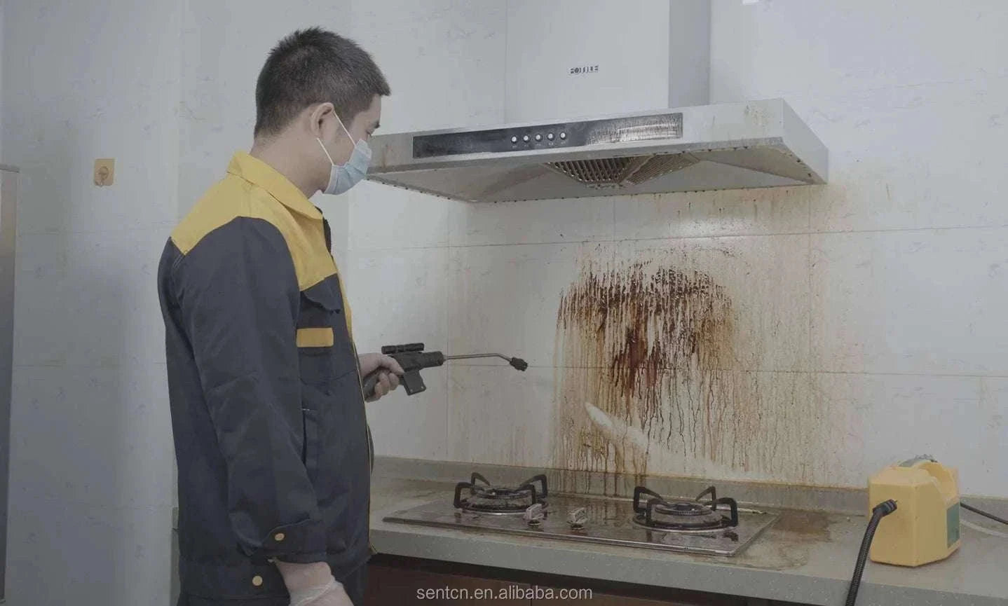 3000W High Pressure Steam Cleaner for Deep Home & Car Cleaning-200532 / China Mainland / 110 V