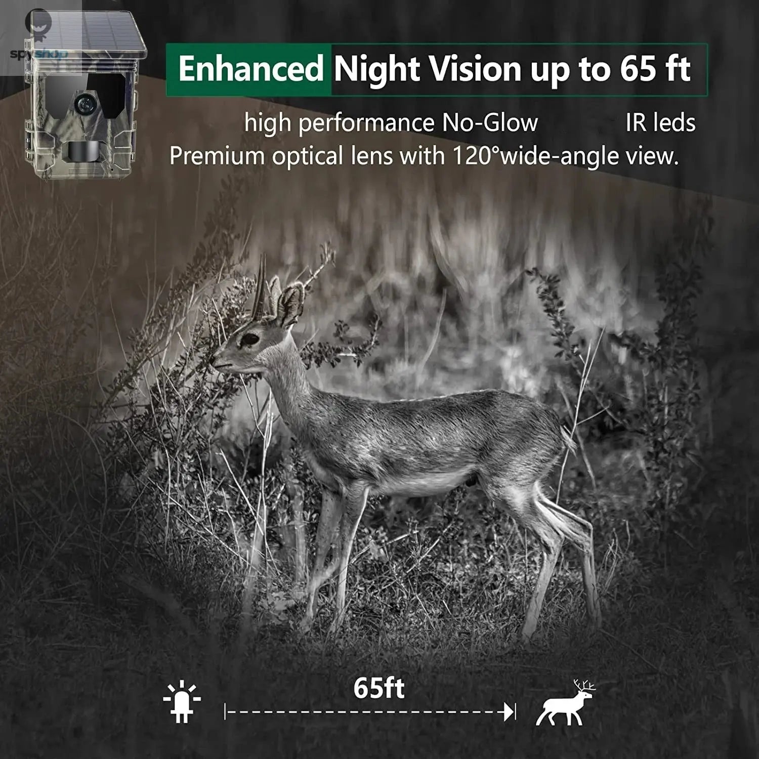 30MP 2K Solar Panel Hunting Camera Infrared Night Vision Monitoring Wildlife Trap Trail Camera Video Photo Recorder Cam