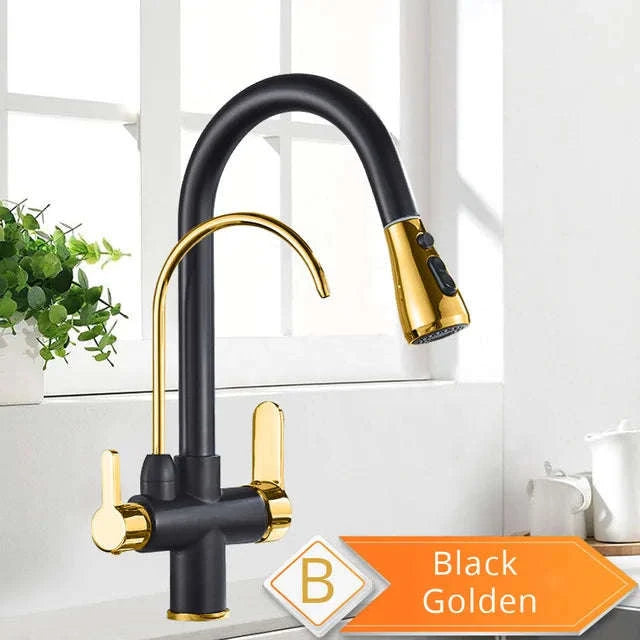360° Rotating Filter Kitchen Faucet – Black Mixer-Chrome B / United States