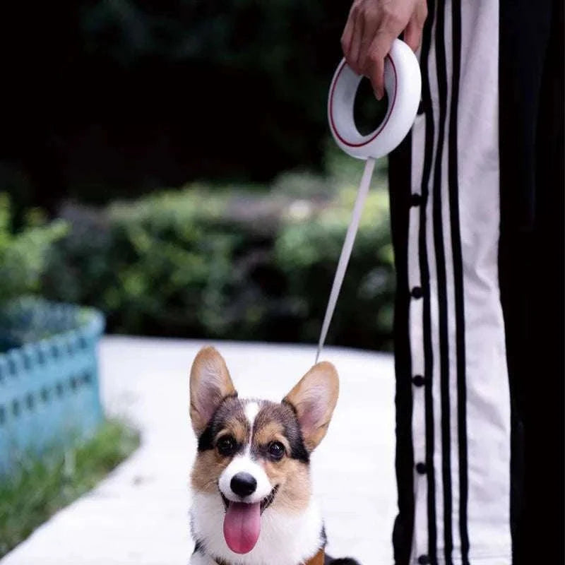 3m Retractable Dog Leash with One-Hand Brake & Anti-Slip Handle-Orange