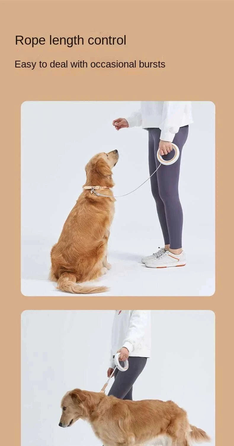 3m Retractable Dog Leash with One-Hand Brake & Anti-Slip Handle-Orange