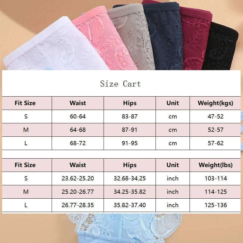 3PC Women’s Floral Lace Low-Rise Transparent Panties-Set 7 / L / 3pcs