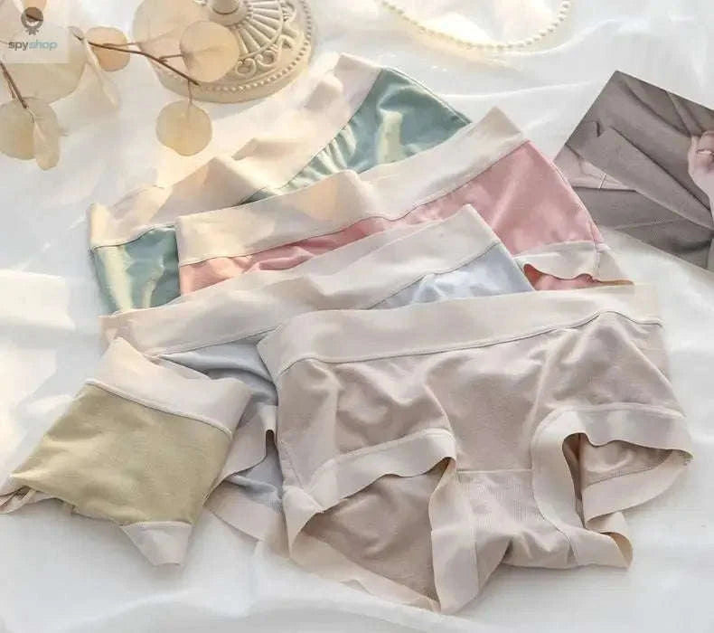 4-Pack Women's Seamless Modal Briefs-L / YellowGreenGrayApri / 4pcs