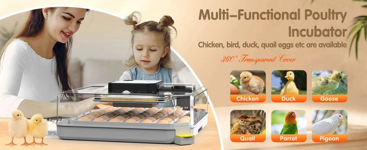 48 Egg Incubator with Auto Temperature & Humidity Control-United States