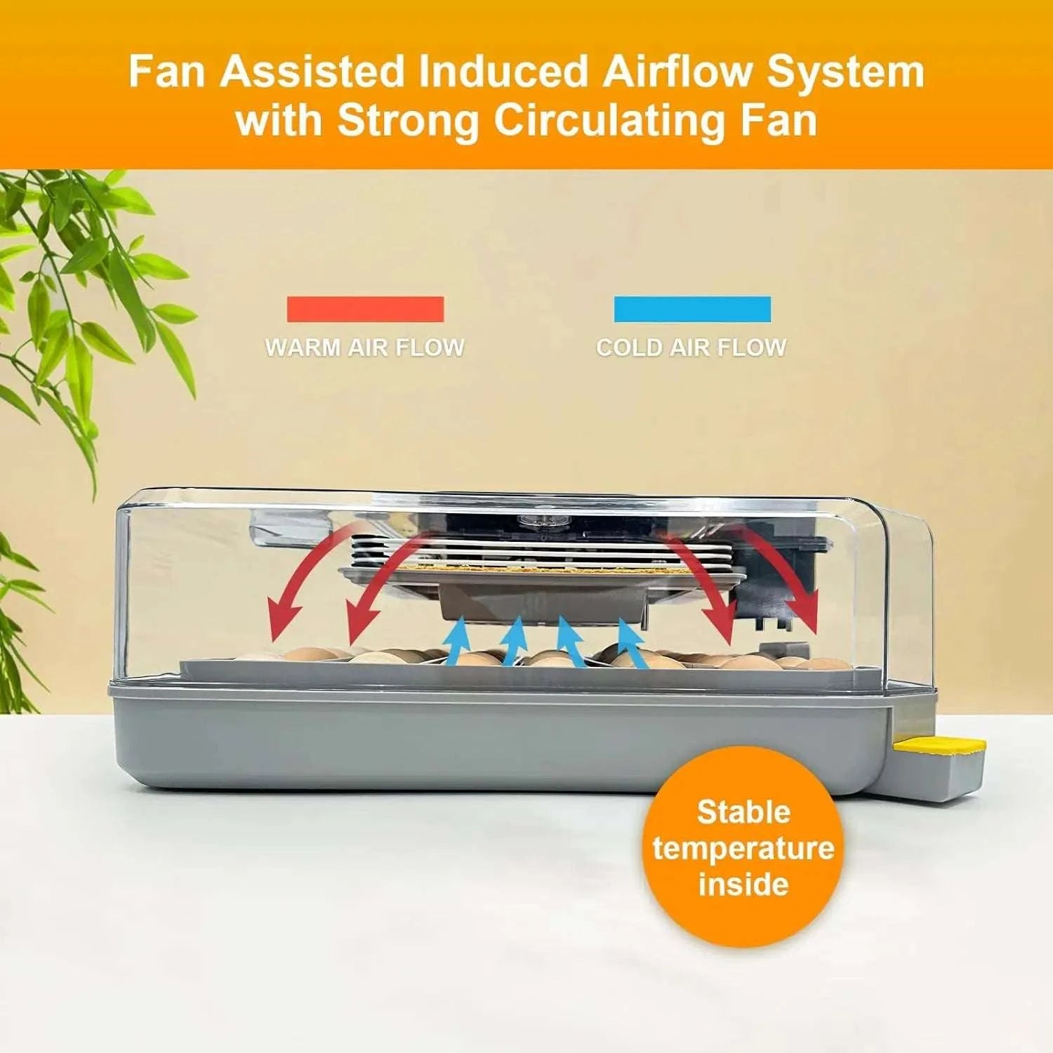 48 Egg Incubator with Auto Temperature & Humidity Control-United States