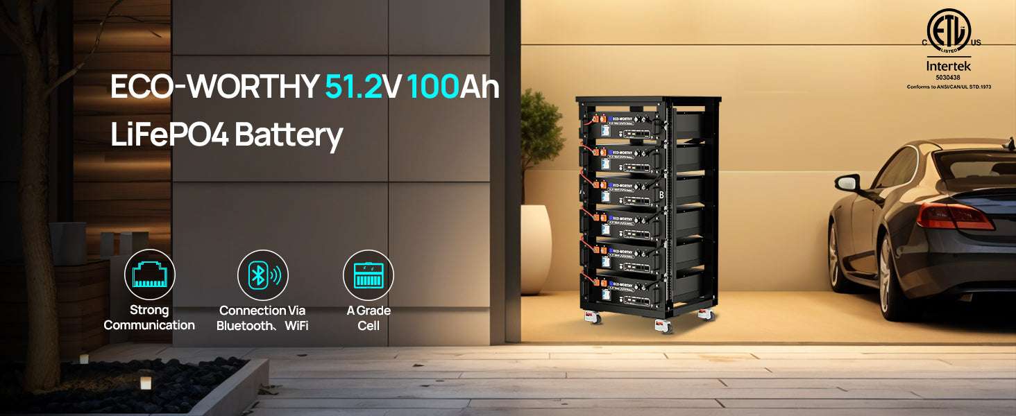 48V 100Ah LiFePO4 Server Rack Battery 5.12kWh with Bluetooth-black / United States