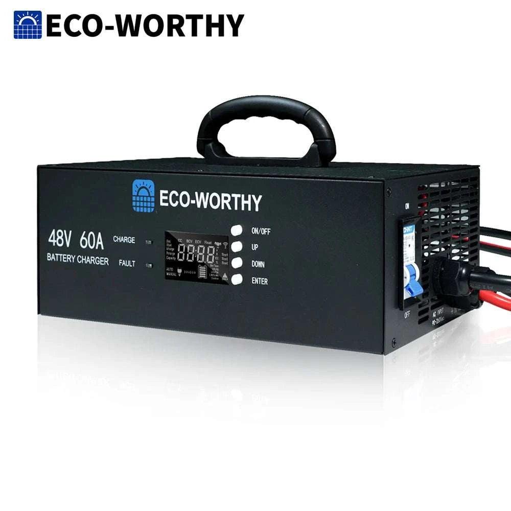 48V 60A LiFePO4 Battery Charger with Adjustable Voltage & Current-black / United States