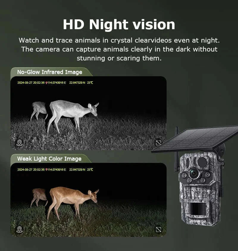 4G 2K 5MP Trail Camera with PIR Motion Detection & Night Vision-only Cam 32GB / france